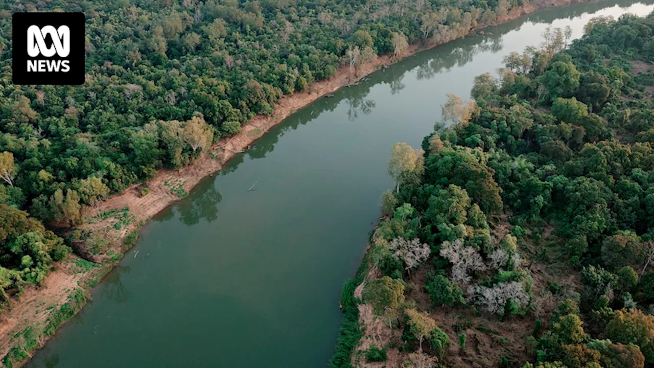 Child missing, reportedly attacked by crocodile, in remote Northern Territory