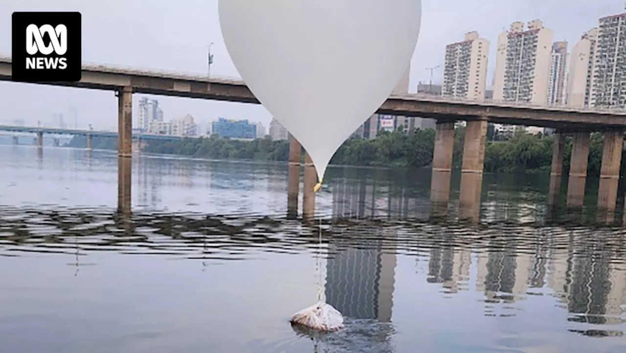 Seoul MP says trash-filled balloons from North Korea disrupted over 10,000 plane travellers