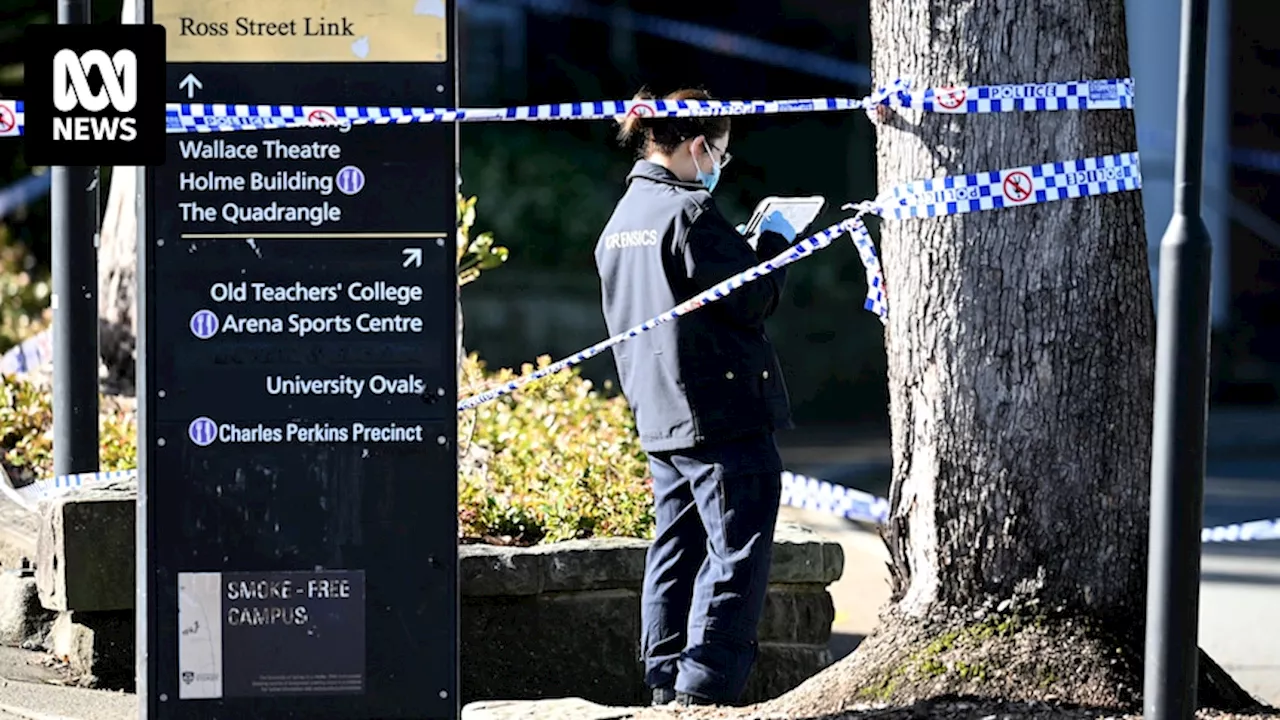 Teenage boy who allegedly stabbed a Sydney University student was charged last year, NSW police minister says