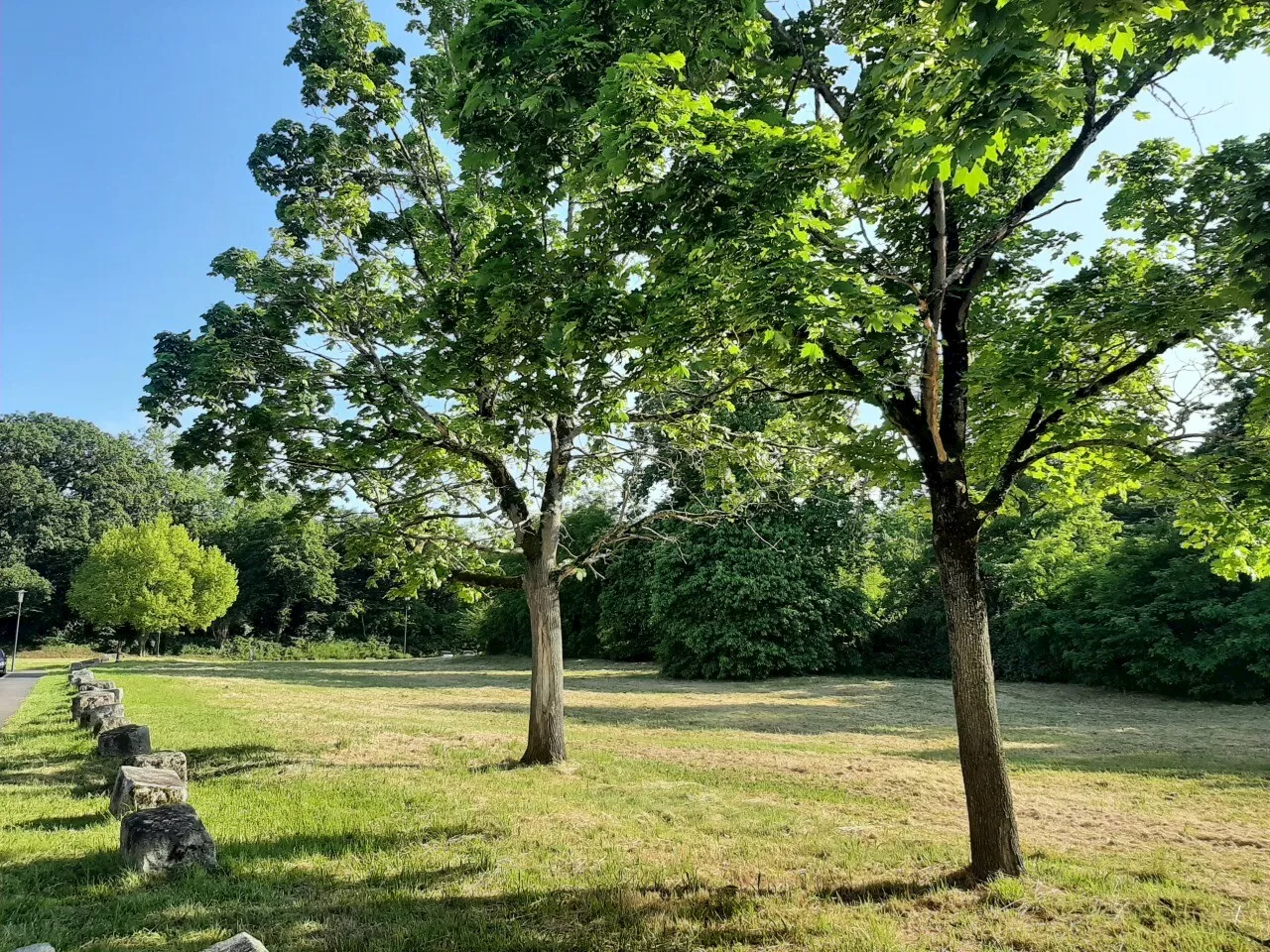 Film, météo : ce qui vous attend au Mans ce jeudi 4 juillet