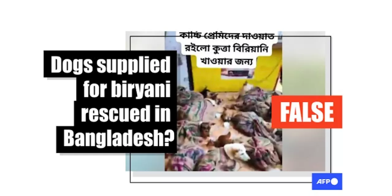 Video of dog rescue in India falsely shared as canines 'saved from Dhaka biryani outlets'