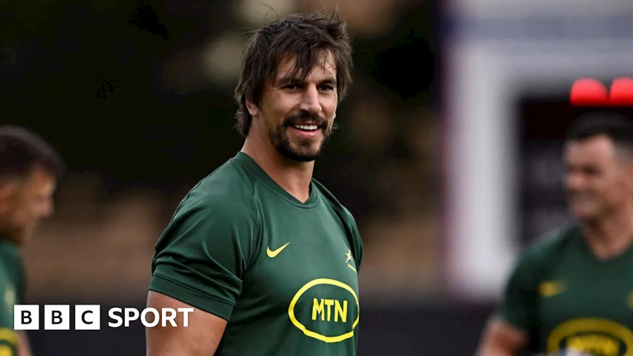 South Africa vs Ireland: Irish media targeted me, says Springbok lock ...