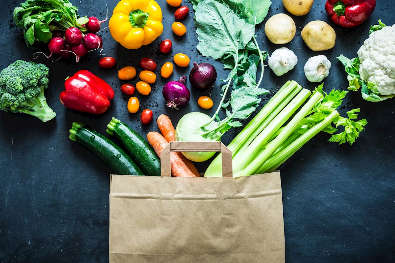 MIT designed a soft robotic system just for packing groceries