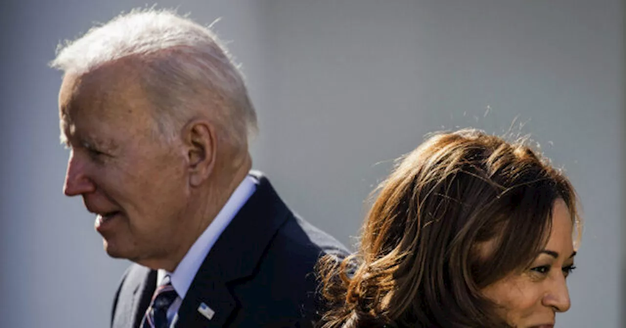 Democrats Question if a ‘Dead’ Joe Biden Is Better Alternative to Kamala Harris