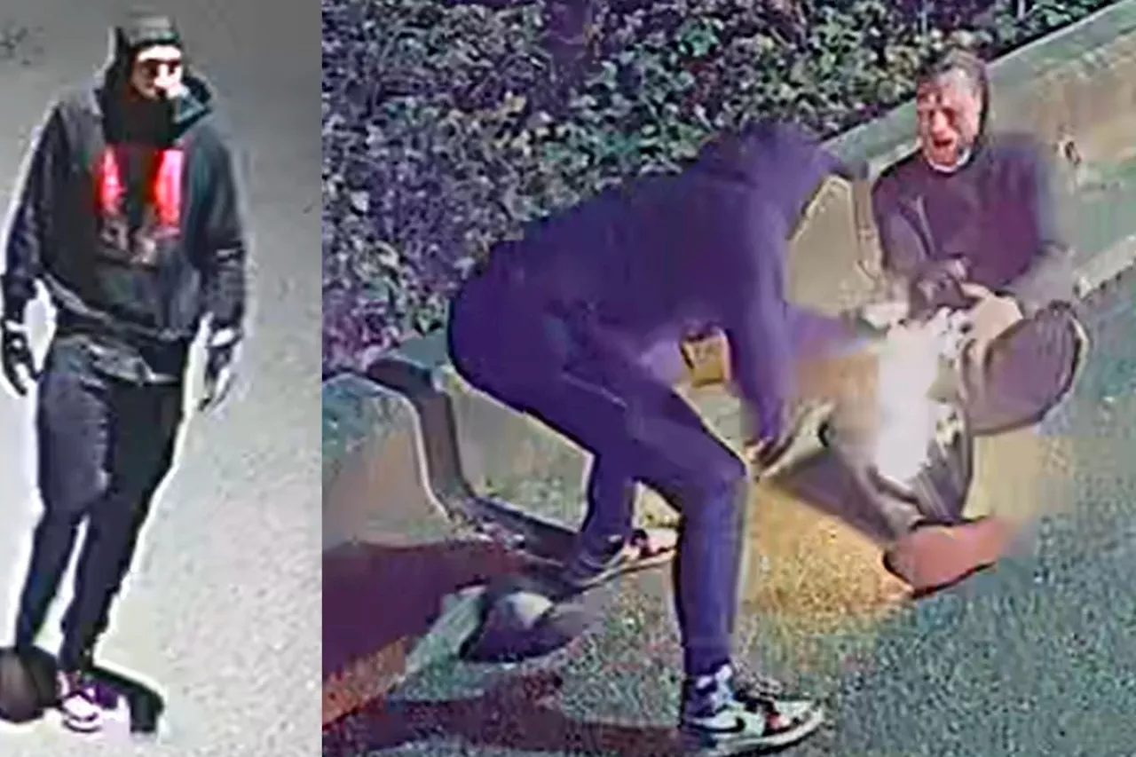 Richmond RCMP searching for arson suspect whose pants caught on fire