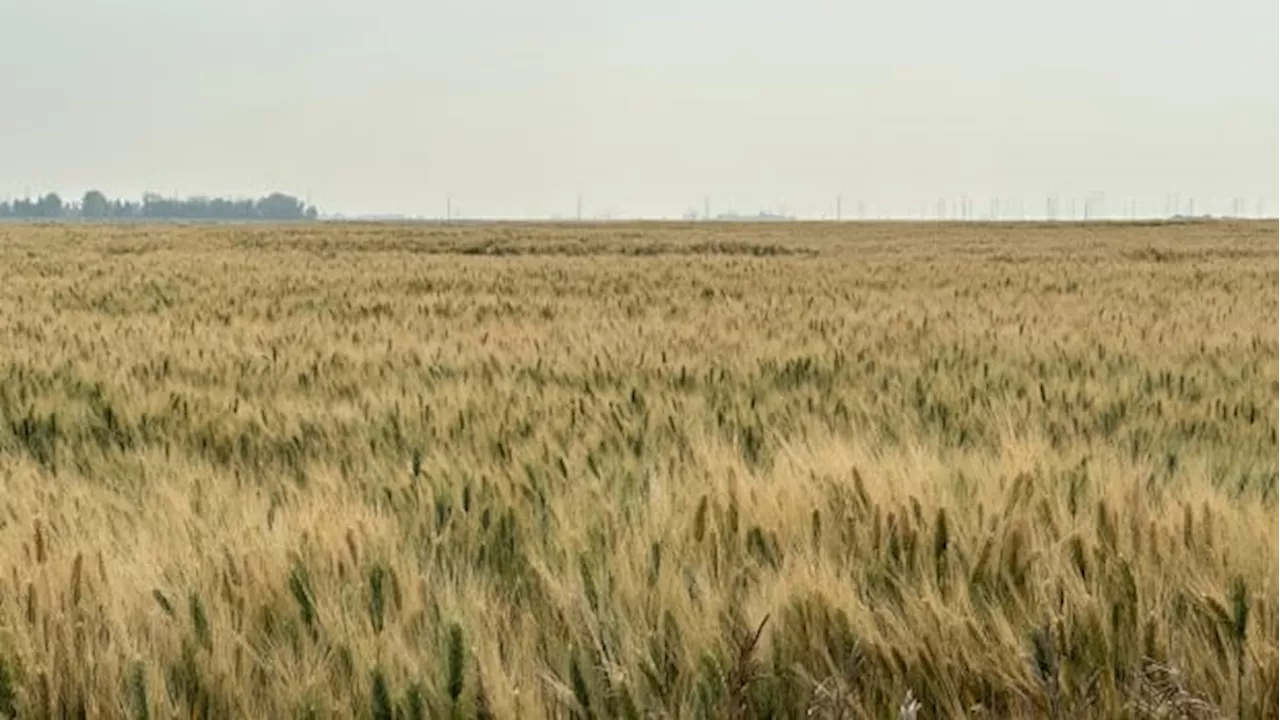 Is driving through Saskatchewan boring?