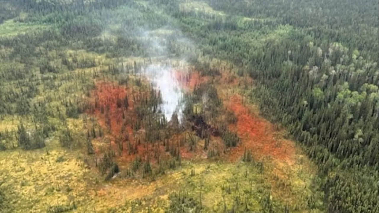 Wildfire season heats up as hot, dry conditions fuel risk in northern Alberta