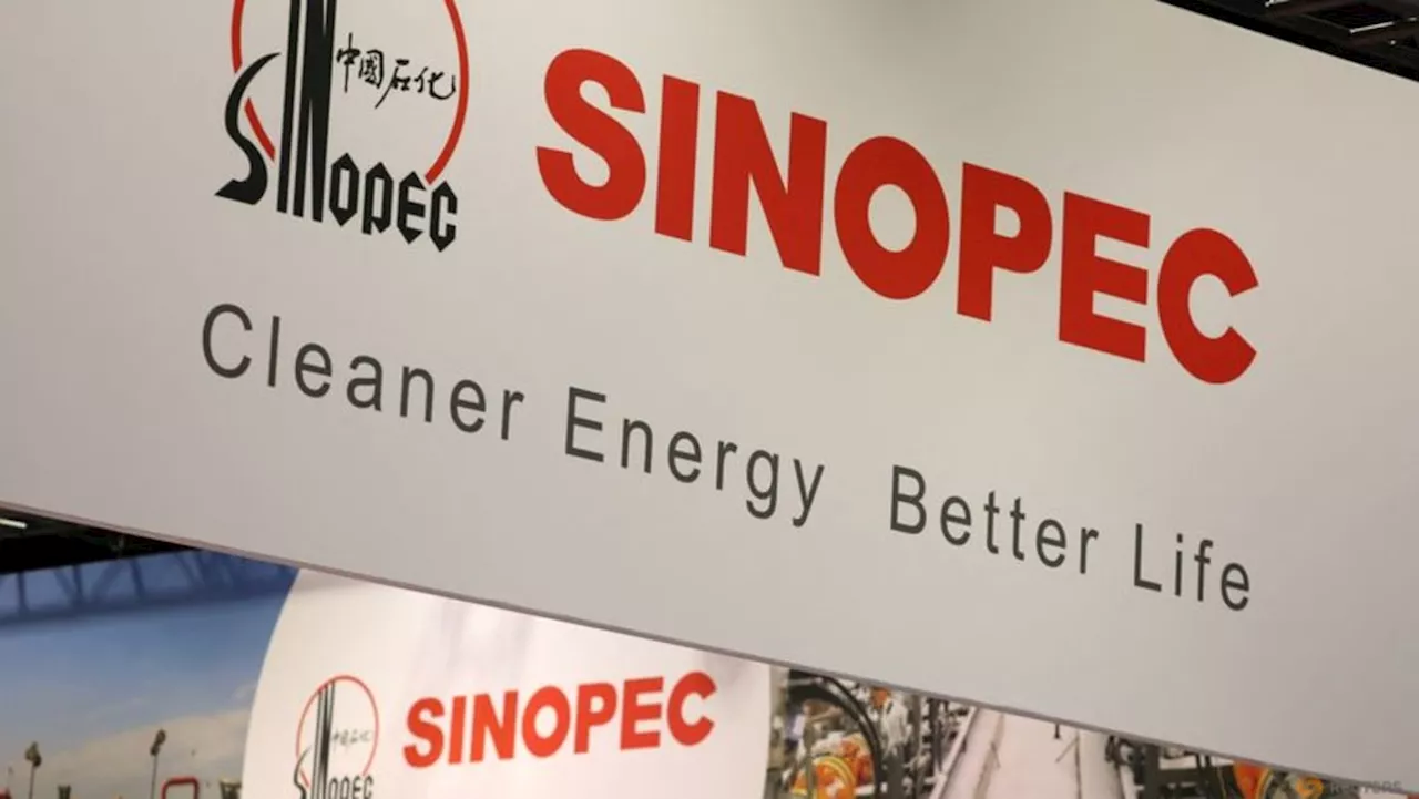 China's Sinopec strikes large oil, gas flow at South China Sea well