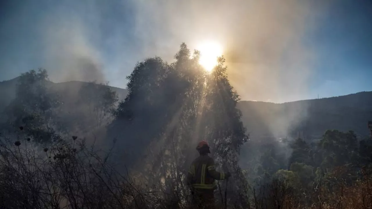 Hezbollah fires rockets at Israeli positions after commander killed