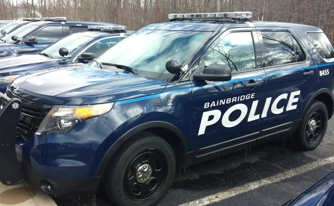 Police enlighten couple with citation for dumping chandelier at recycling bin: Bainbridge Township Police Blo