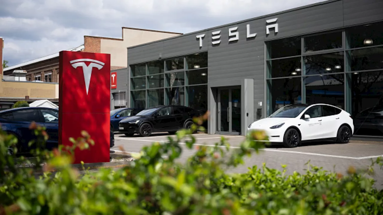 Analyst Dan Ives raises Tesla price target to $300, sees $400 possible in 2025