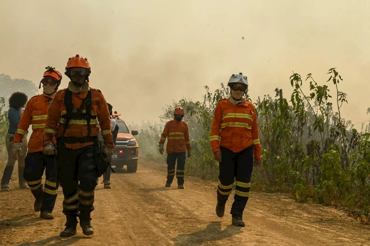 Pantanal: MPMS identifica 20 pontos dos principais responsáveis por maioria dos incêndios