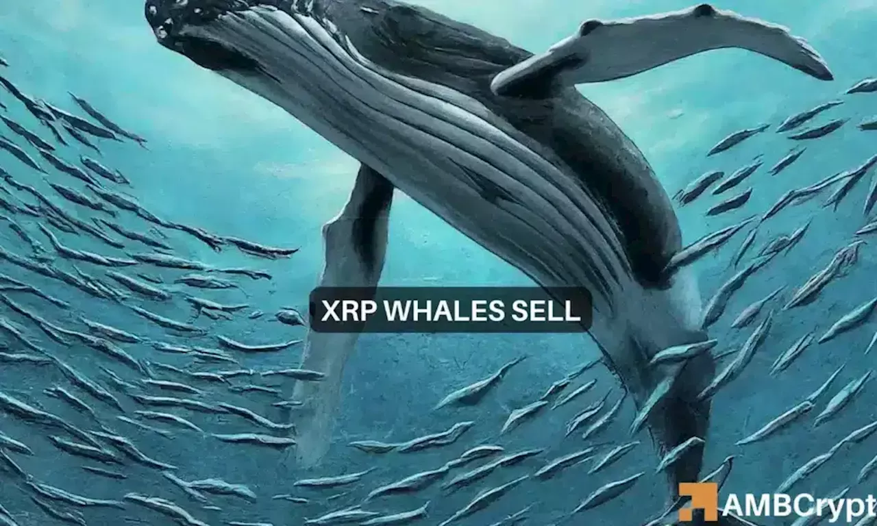 Xrp Whale Watch As M Tokens Move Is A Sell Off Coming Canada