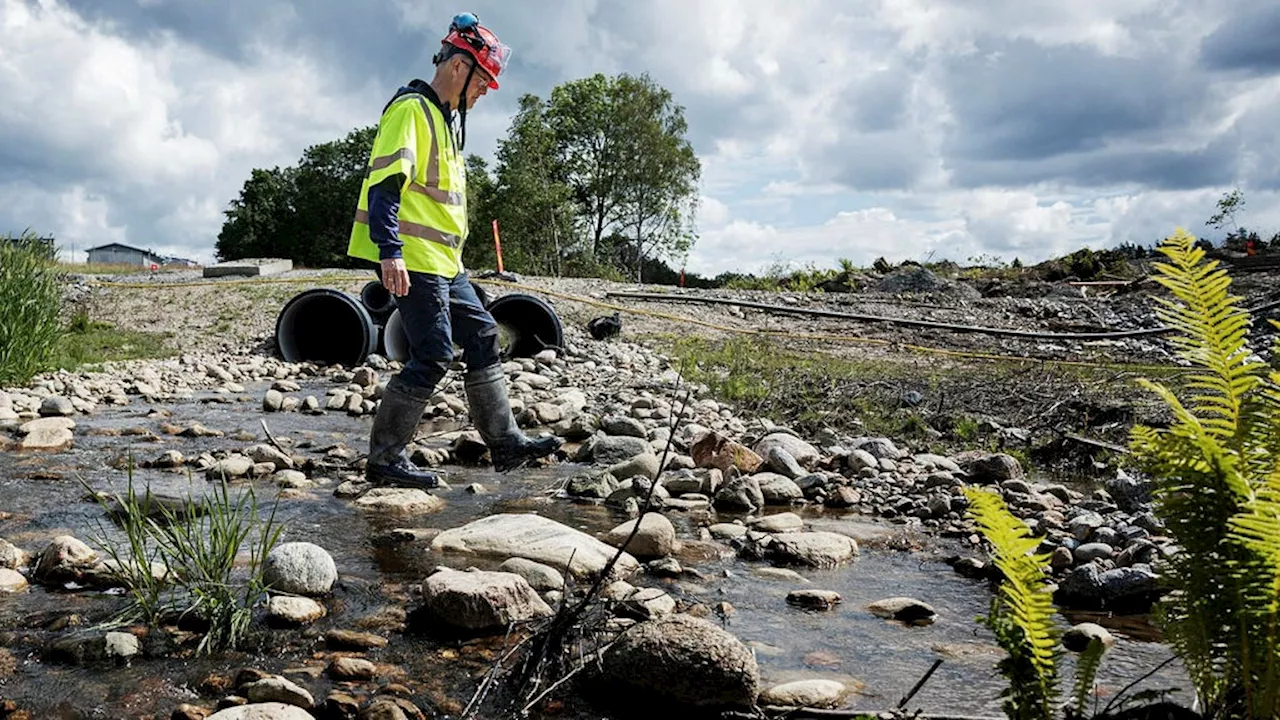 E 6-skredet i Stenungsund skapade en vinnare: Havsöringen