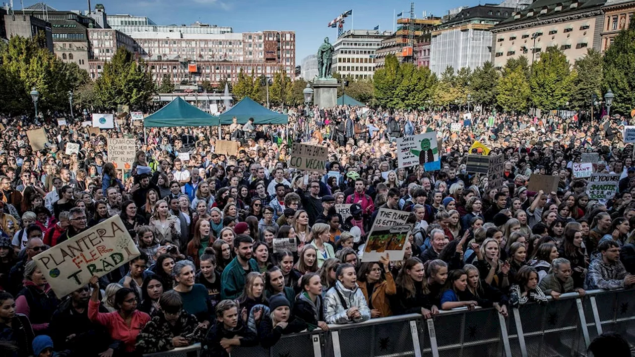 Forskning undersöker vilken framtid klimataktivister vill se