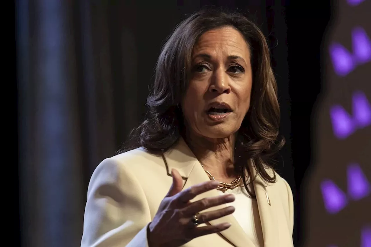 Democratic donor blasts Kamala Harris as worse than ‘dead’ or ‘comatose’ Biden: Report