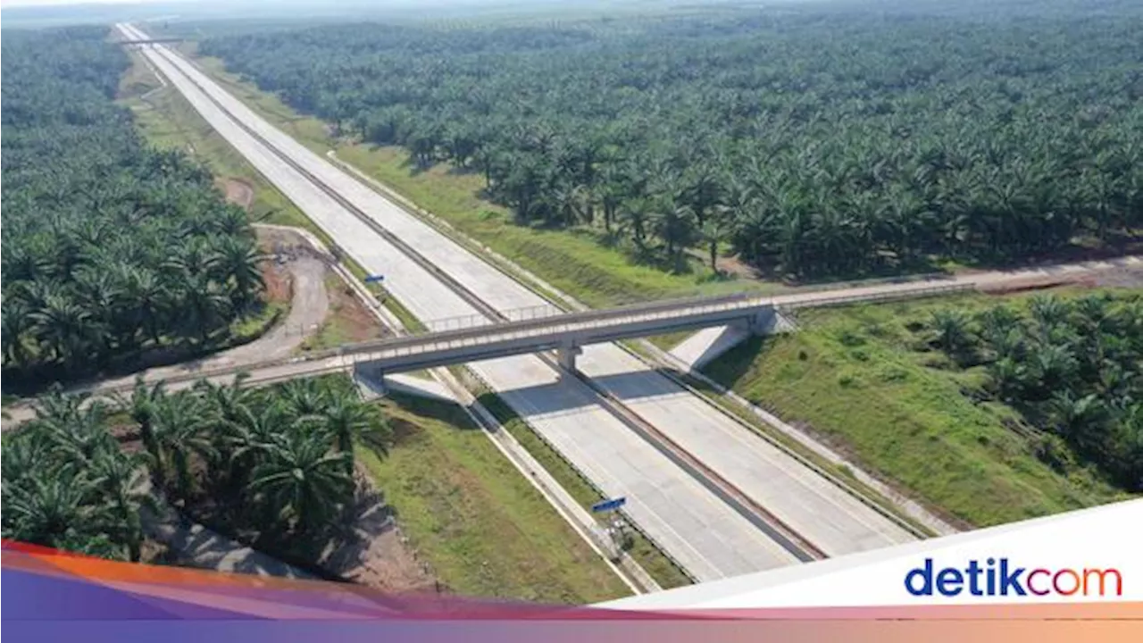 Tol Trans Sumatera Sudah Dibangun 800 Km, Masih Sisa Segini Lagi