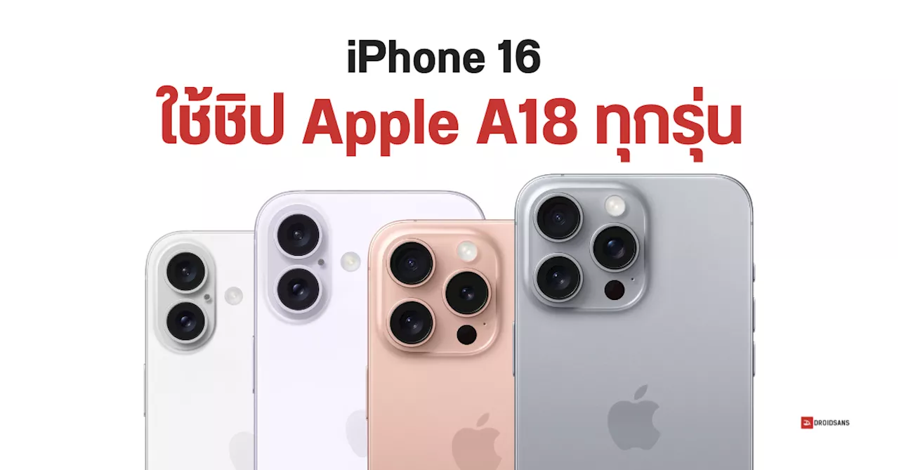 iPhone 16 ทุกรุ่นจะได้ใช้ชิป Apple A18 Series แต่รุ่นเล็กอาจได้ GPU น้อยกว่า