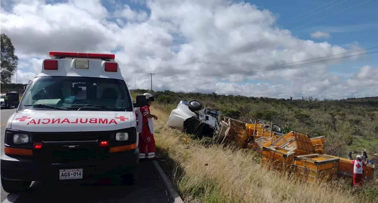 Vuelca tráiler que transportaba pollo en Aguascalientes