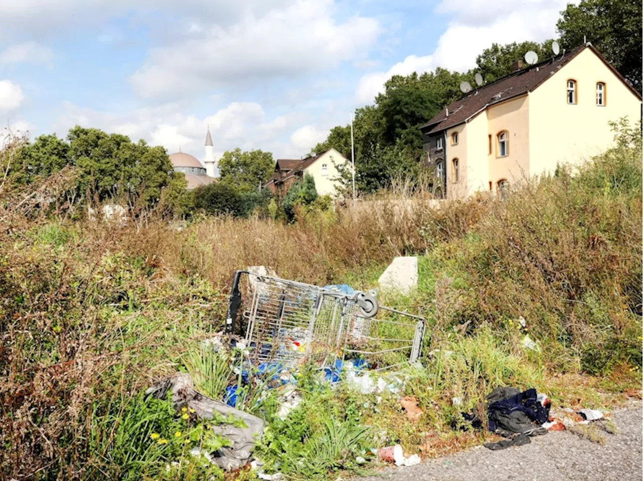 Gleichwertige Lebensverhältnisse: Unterschiede nehmen ab