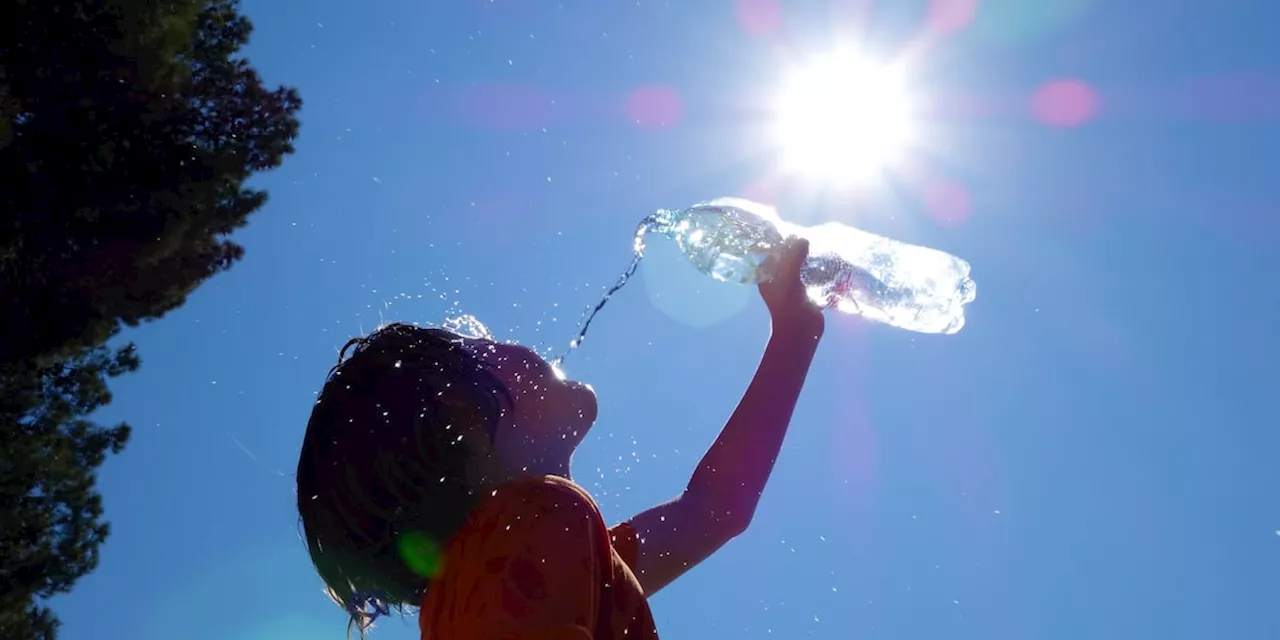 Sommer: Diese Getränke sind bei Hitze noch besser als Wasser