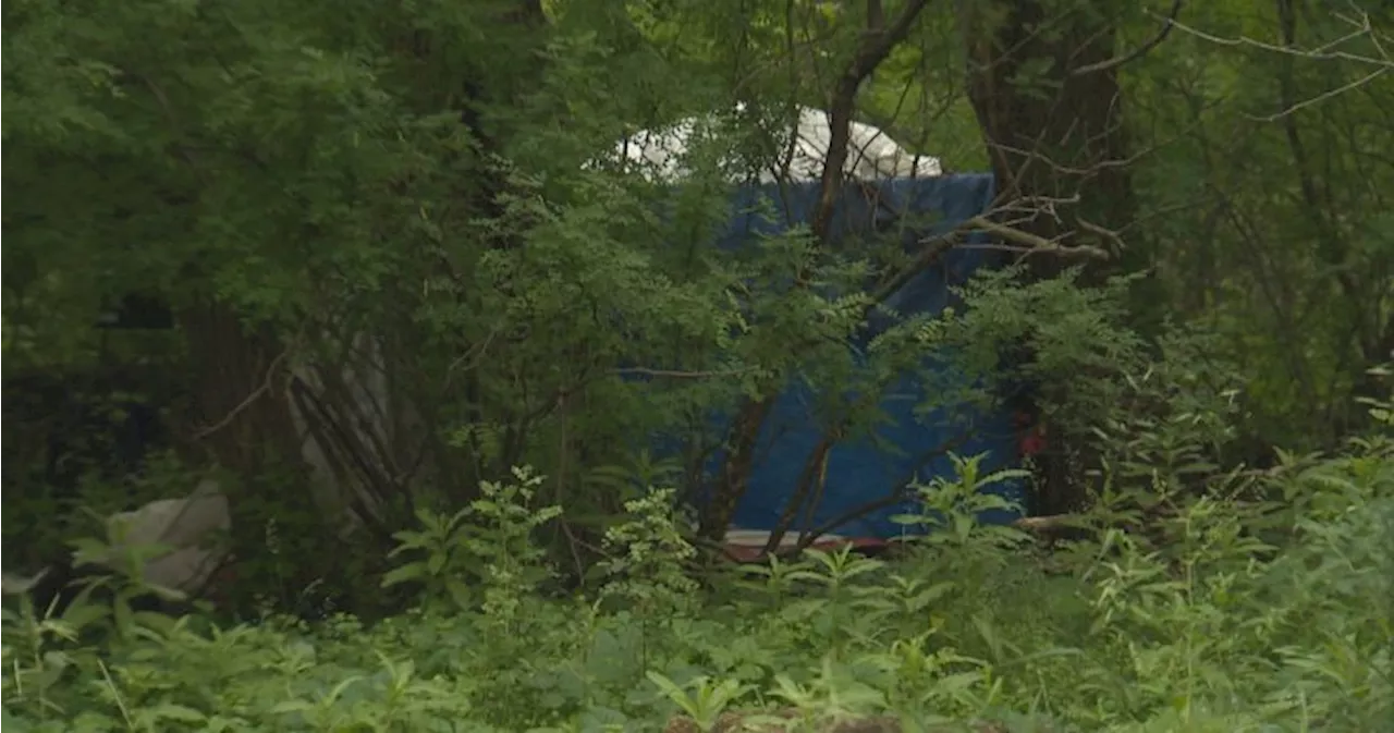 Winnipeg residents voice concerns over safety due to homeless encampments