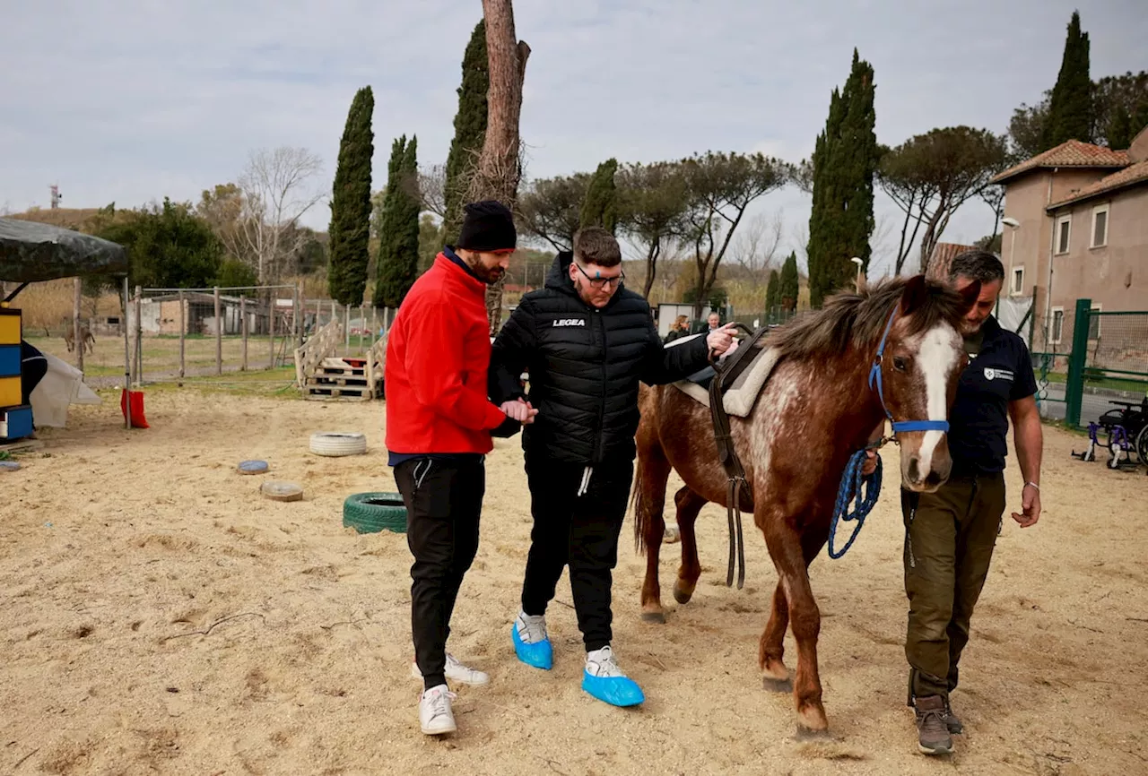 Therapy horses help neurology patients regain confidence, motor skills