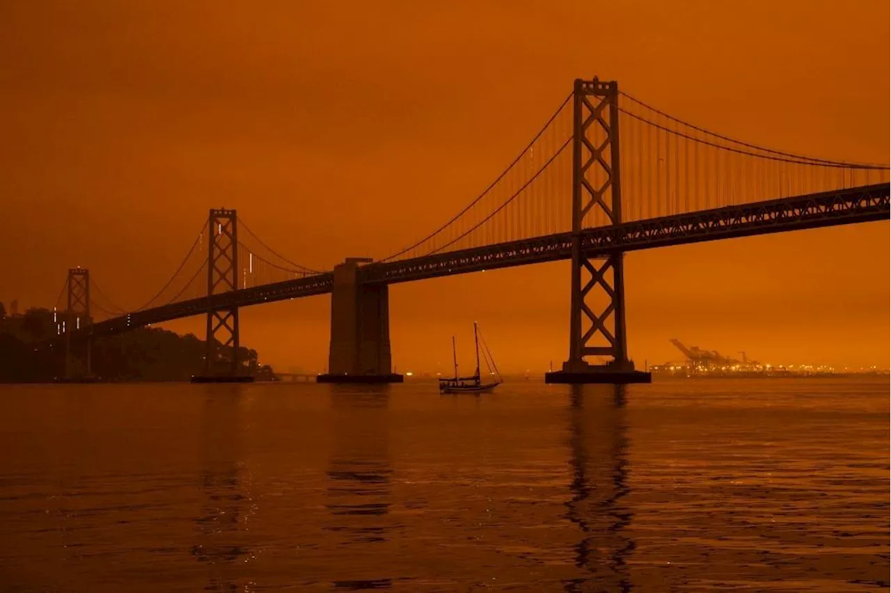 74-year-old Pinay dies after homeless man pushes her at San Francisco train station