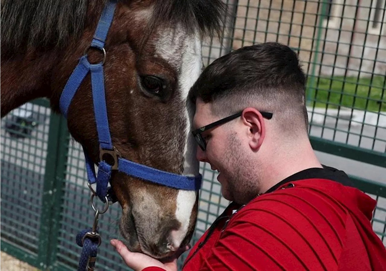 Therapy horses help neurology patients regain confidence, motor skills