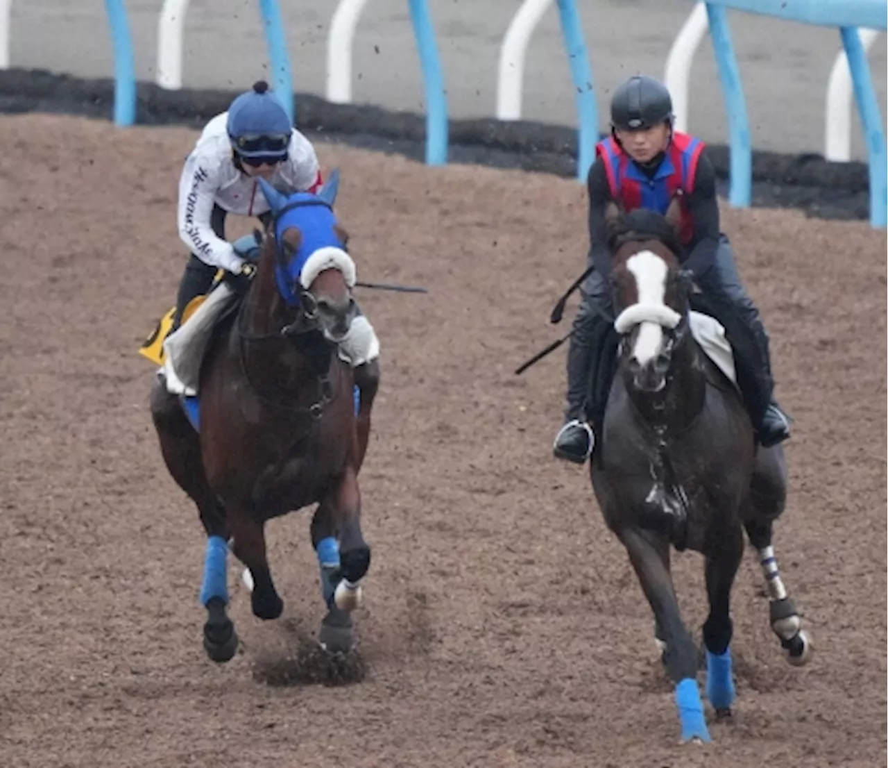 【七夕賞】キングズパレス軽快仕上げ！松岡「集中力保てるか鍵」