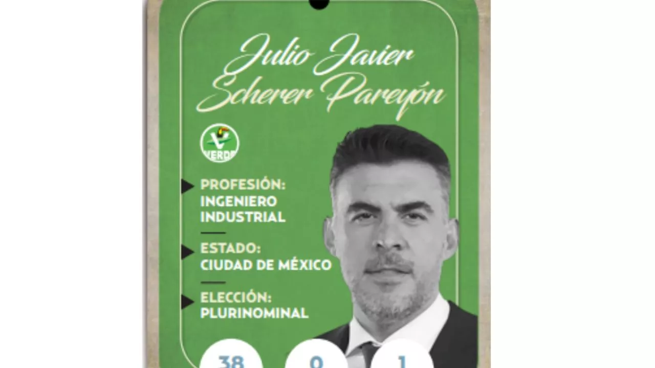 ¿Quién es Julio Javier Scherer Pareyon, diputado federal del PVEM?