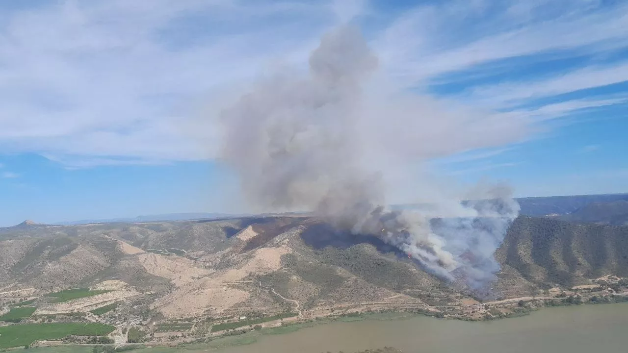 Un incendio forestal obliga a evacuar un camping en Mequinenza, Zaragoza