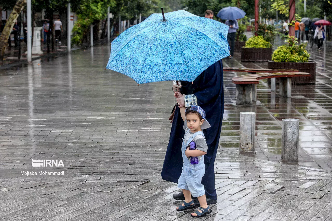 سال پُربارشِ مازندران