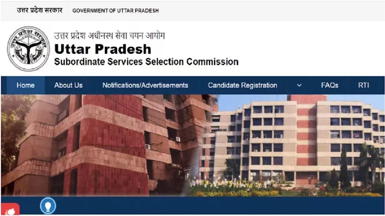 UPSSSC Recruitment 2024: उत्तर प्रदेश में बीसीजी टेक्नीशियन के 255 पदों पर होगी भर्ती, नोटिफिकेशन हुआ जारी