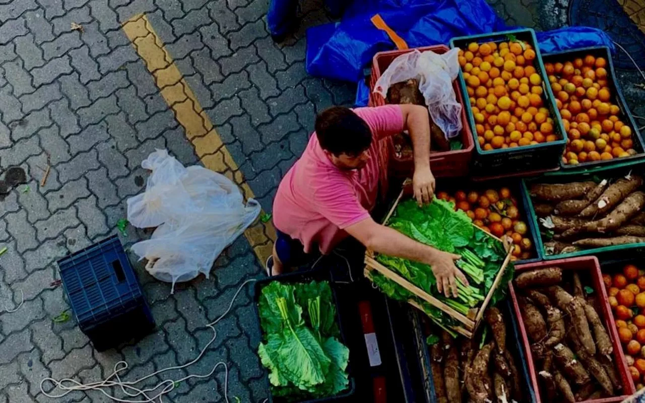 Prefeitura de Nova Iguaçu abre inscrições para novos produtores do Programa de Aquisição de Alimentos