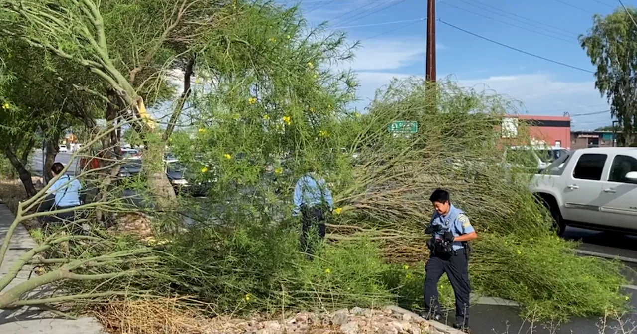 LIVE UPDATES: Crews clear damage from Tucson streets after Tuesday storm