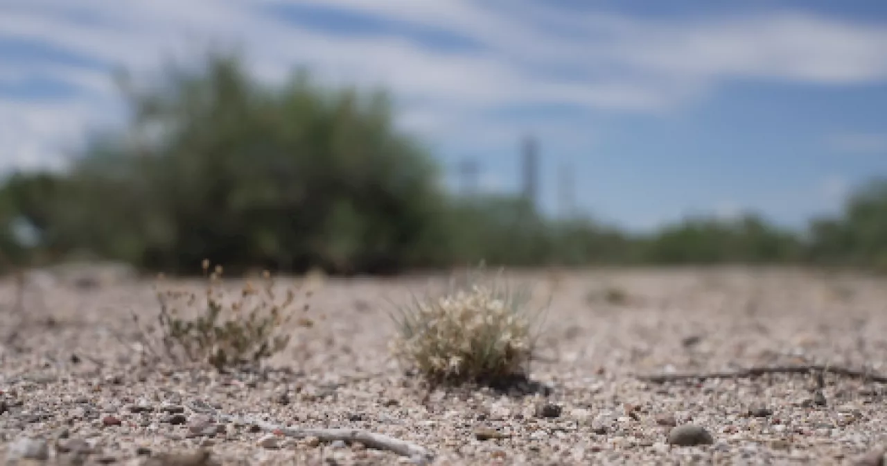 Tracking heat-related deaths in Southern Arizona