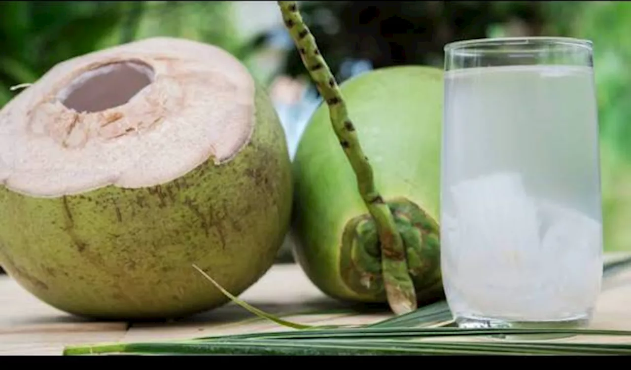 Cara Minum Air Kelapa Muda untuk Redakan Asam Lambung