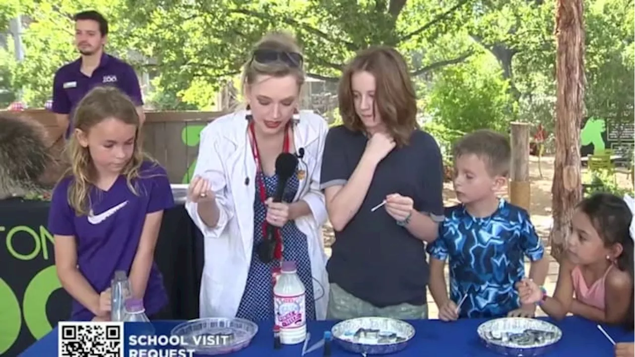 🧪 Science with Sarah: Magic Milk Fireworks at the San Antonio Zoo! 🎆