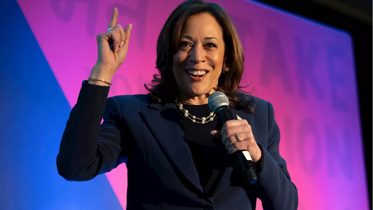 White House says Biden thinks Harris is 'future' of Democratic Party: 'He is very proud'