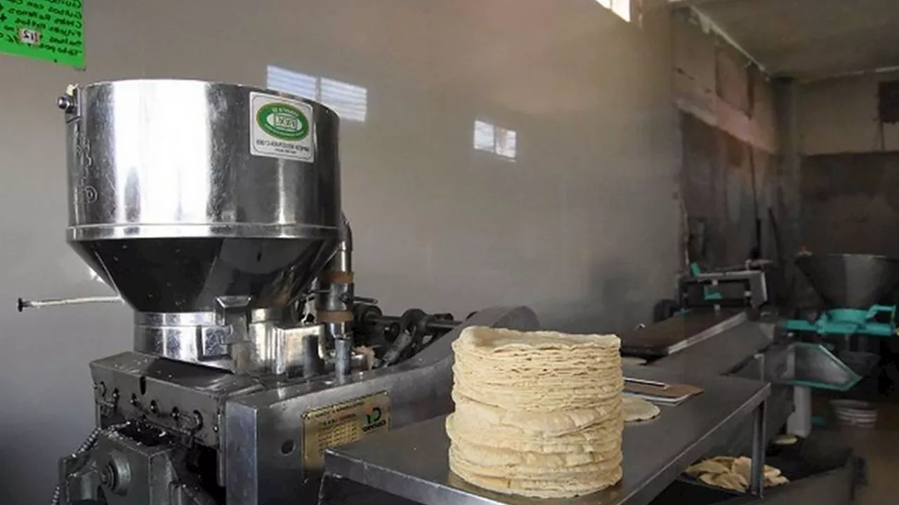 ¿Incrementará el precio de la tortilla en Guanajuato?