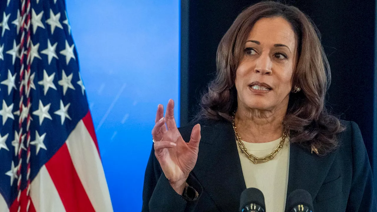 Da Kamala Harris a Michelle Obama: chi sono i possibili successori di Biden