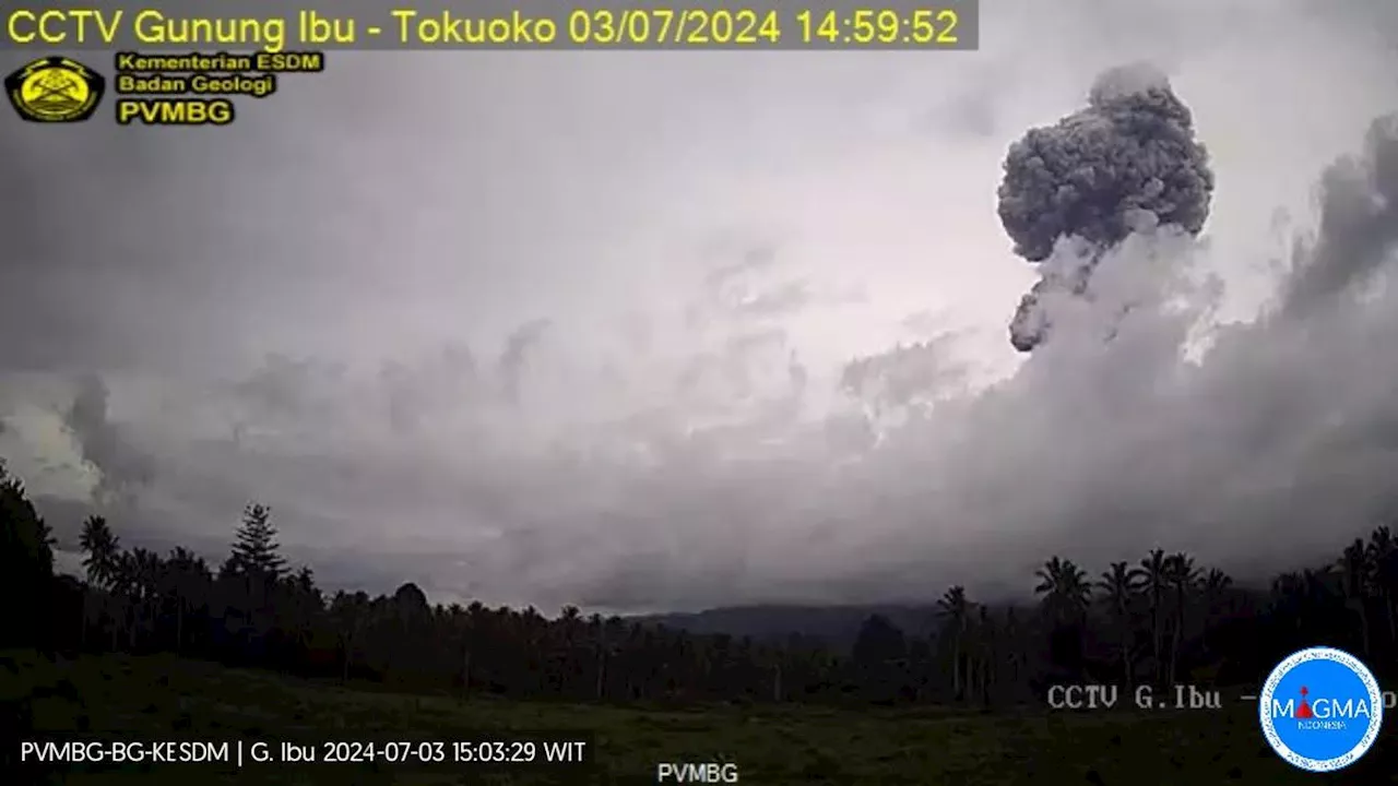 Gunung Ibu Meletus Dahsyat Lagi, Semburkan Abu Vulkanik Setinggi 3.000 Meter