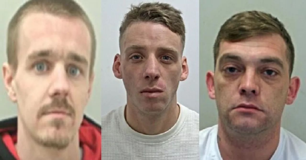 3 men 'urged to hand themselves in' after series of drug arrests