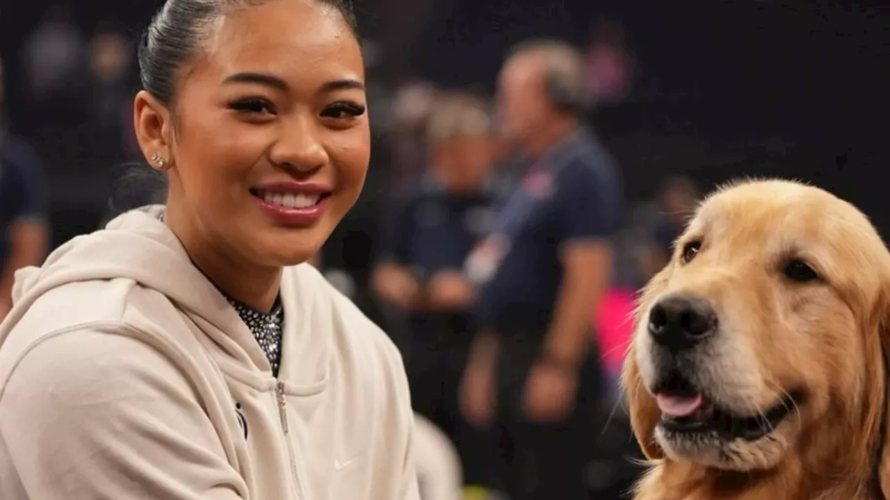 USA Gymnastics Therapy Dog Goes Viral After Suni Lee Writes 'Thank God for Beacon'