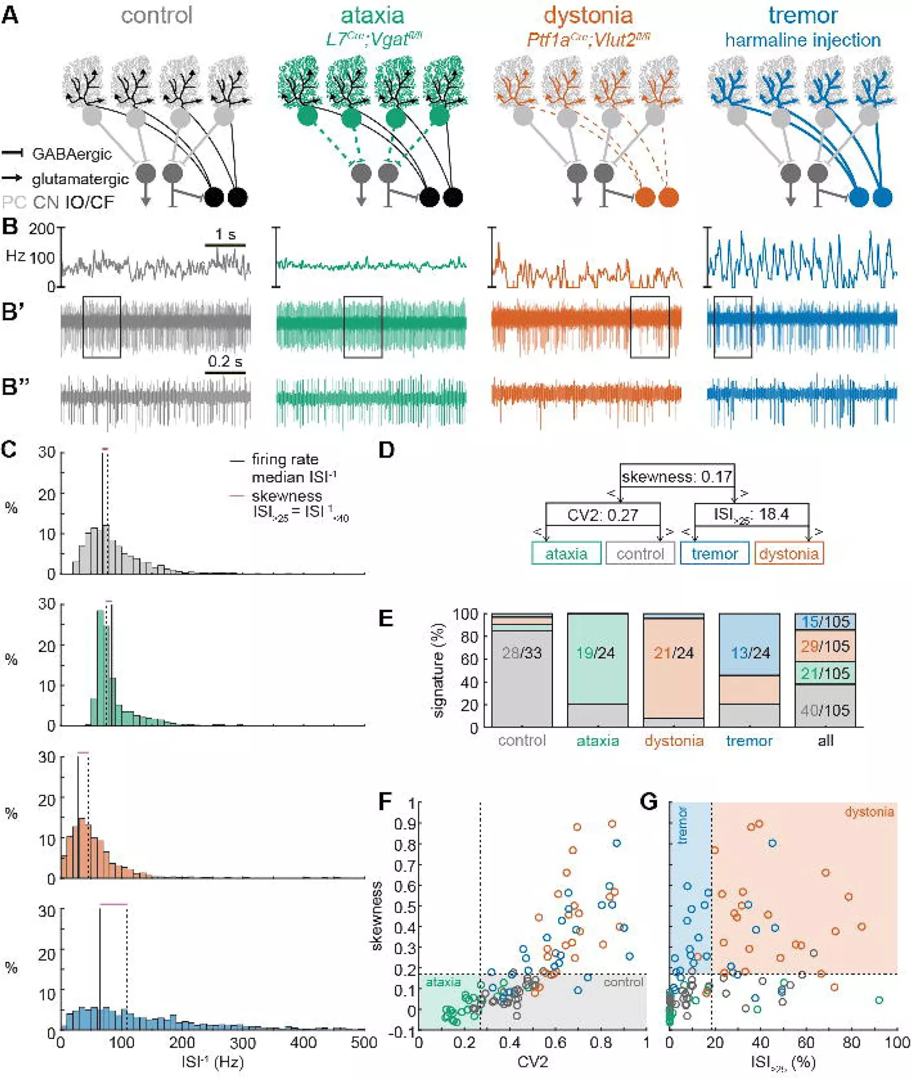Cracking the code for cerebellar movement disorders