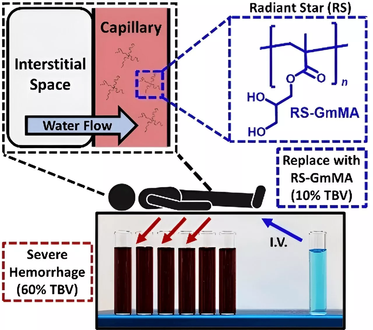 Researchers develop low volume resuscitant for prehospital treatment of severe hemorrhagic shock