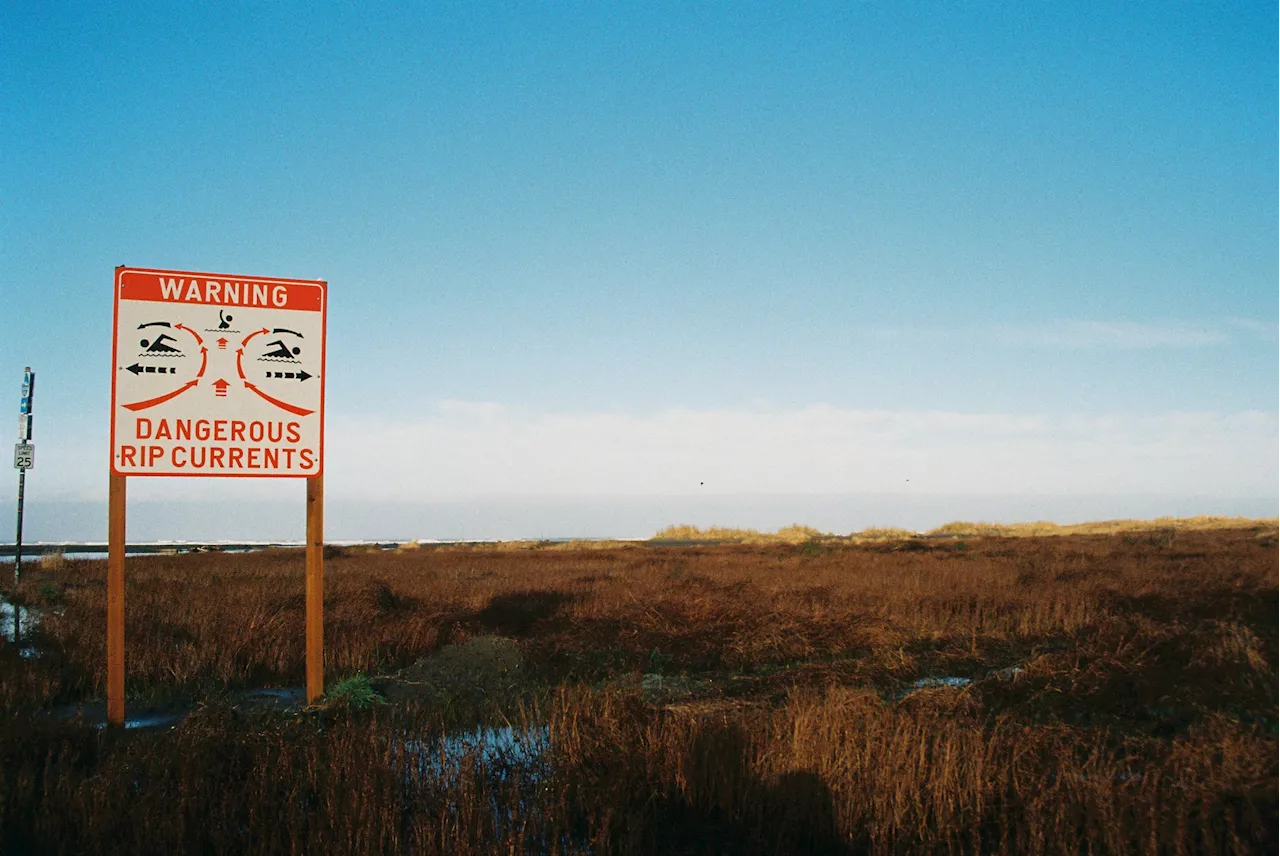 What is a rip current, and how can you survive if you get caught in one?