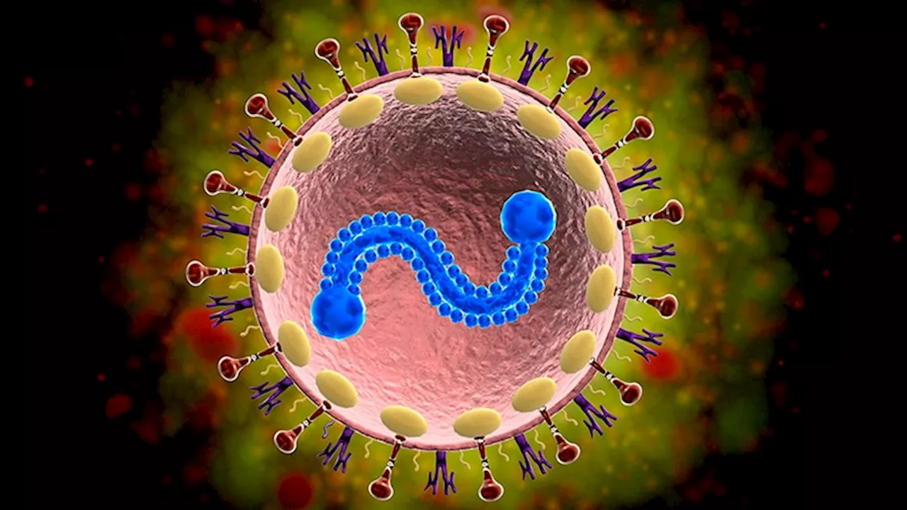 How Has the RSV Season Changed Since the Pandemic Began?