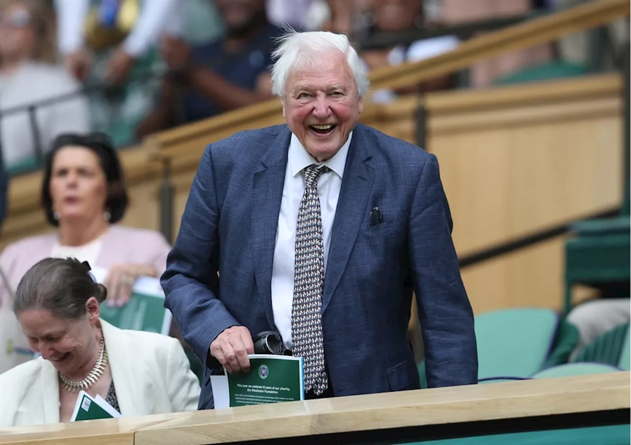 Wimbledon's Royal Box buzz: Celebrities serve, from Attenborough's ovation to Beckham's style